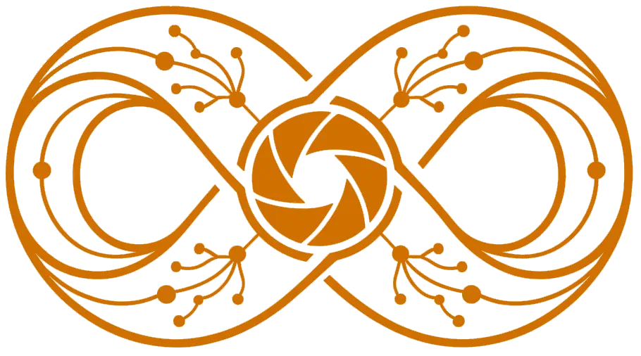 VowPix logo